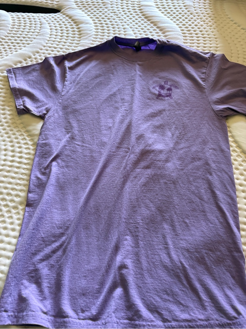 Women’s Lavender Short-Sleeve Crewneck Tee